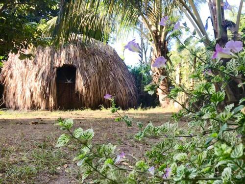 Agroturismo Los Almendros Alojamientos Exclusivos
