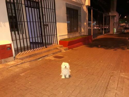 Hostal Apartahotel Albita