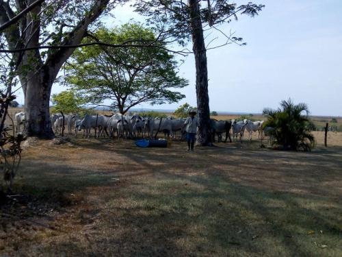 Agroturismo Brisas Del Yucao