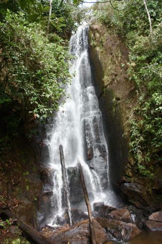 Lodge Cascada Caf� Retiro
