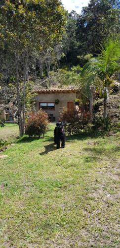 Lodge Casita En El Bosque