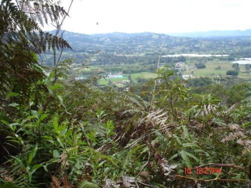 Hostal Finca Callejuela