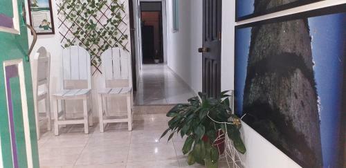 Albergue Balcones De Salento