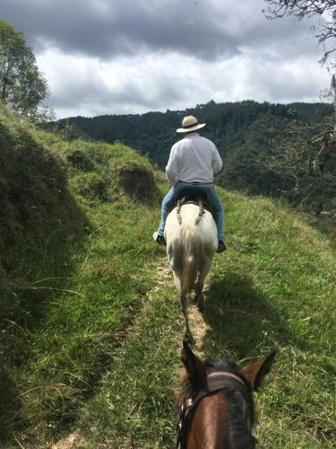 La Caba�a Ecohotel (river House) - Valle De Cocora