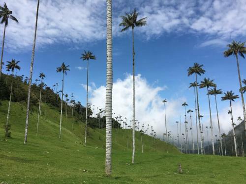 Albergue Reserva Guadalajara - Cocora Valley