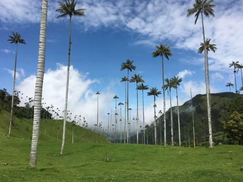 Albergue Reserva Guadalajara - Cocora Valley