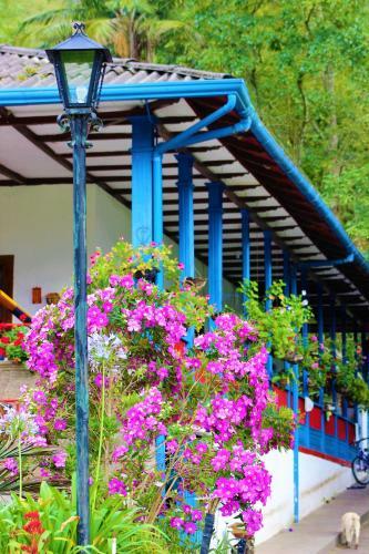 Albergue Reserva Guadalajara - Cocora Valley