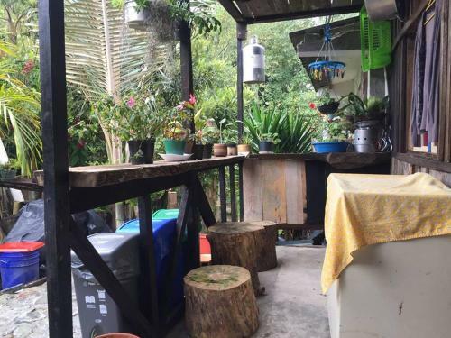 Hostal Vivienda Tur�stica El Rancho