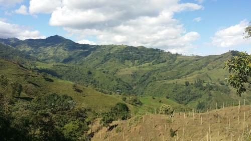 Finca El Sestillal