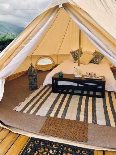 Hotel Montana Glamping