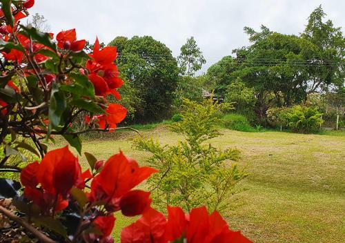 Lodge Caba�a Numbana