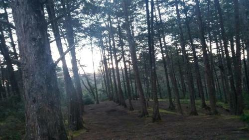 Agroturismo Flores Del Bosque