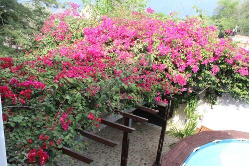 Villa Finca Carmentea