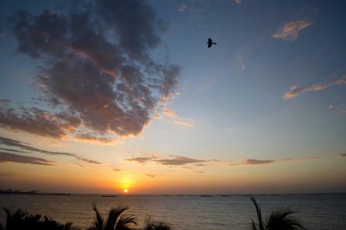 Apartamento Con Playa Privada Y Piscina