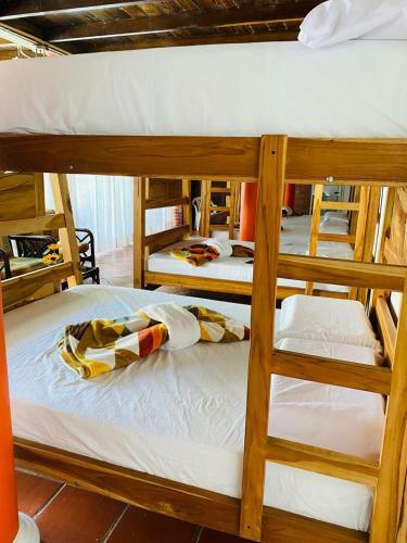Caba�a Hostal, Randuky