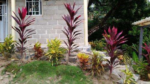 Agroturismo Quinta Dosquebradas