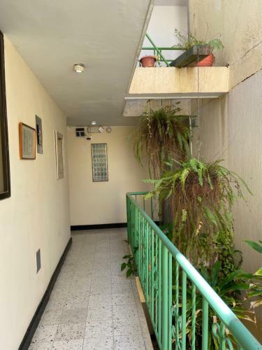 Albergue Hotel Granate