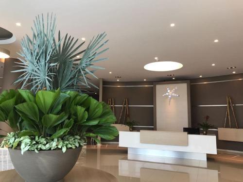 Apartamento Playa Rodadero Sur
