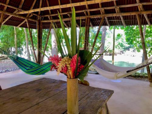 Hostal Zendukua Ecolodge - Manantial River