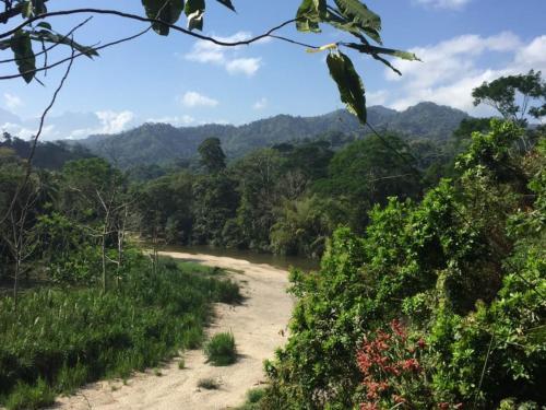 Hostal Zendukua Ecolodge - Manantial River