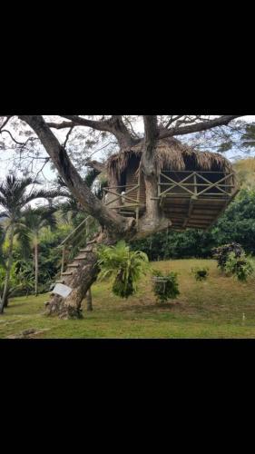 Lodge Finca Con R�o Privado
