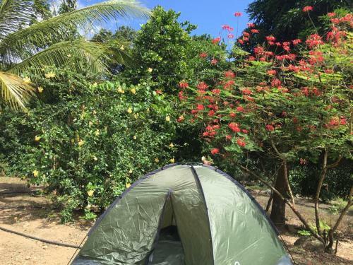 Maquma Hostel Monta�a Y Rio