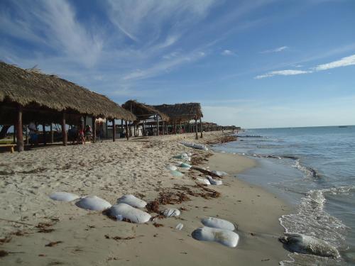 Apartamento Rsma Alquiler Vacacional