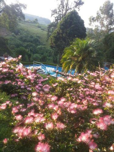 Hotel Villa Carolina