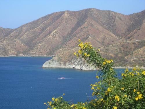 Hostal Mirador Babel