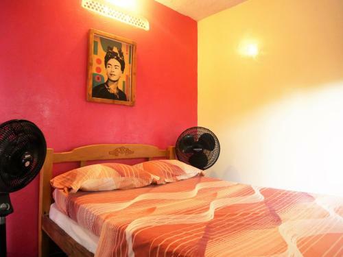Samo Backpacker Hostel