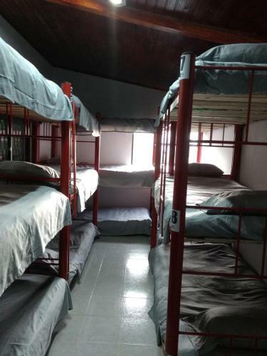 Albergue Hostal Nomadic