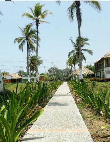 Hotel Paraiso Del Mar