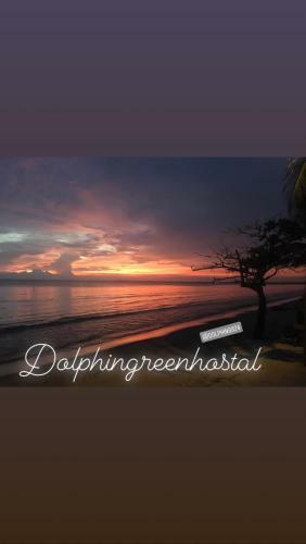 Dolphin Green