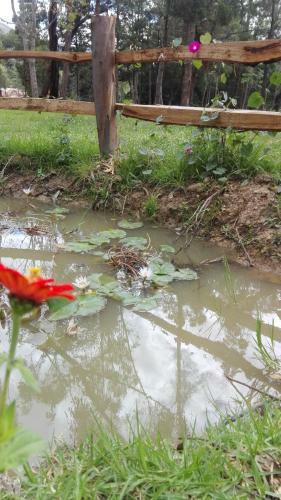 Zona Camping Oasis Del Roble