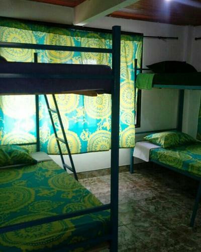 Apartamento Mata De Guadua