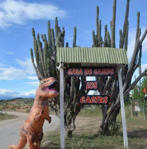 Hotel Alojamiento Casa De Campo Los Cactus
