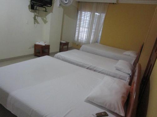 Hotel Rey David
