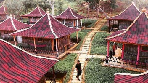 Albergue Sindamanoy Mentecuerpo