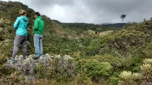 Hostal Zipaquira Coffee Town
