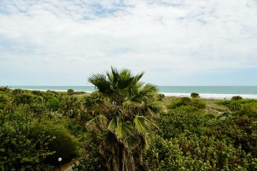 Hotel Discovery Beach Resort