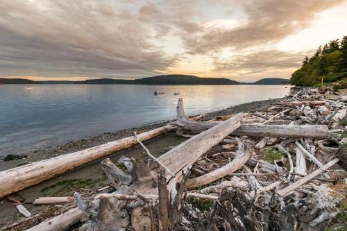 Driftwood Retreat