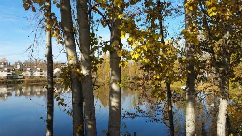 Reflection Lake Bed And Breakfast