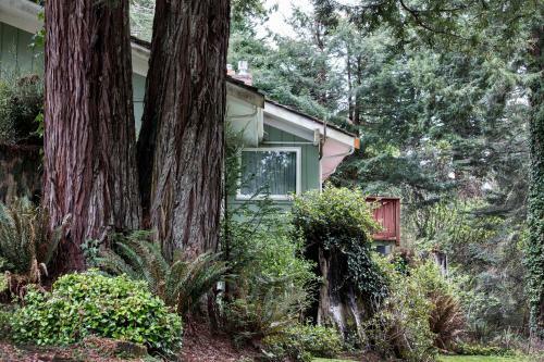 Fickle Hill Open Studio