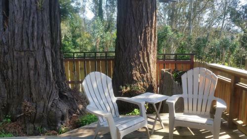 Three Trees Hollow- Charm & Comfort -cottage In Downtown Arcata