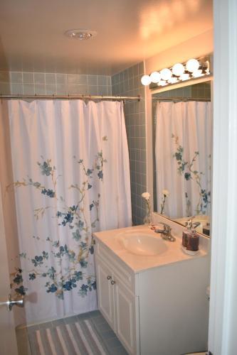Apartamento International Luxury Suites-washington Dc