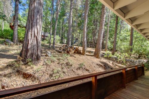 Forest Haven