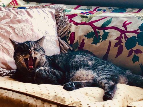 Inman Park Bed And Breakfast