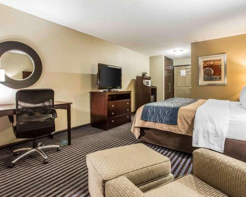 Hotel Comfort Inn & Suites Ballpark Area