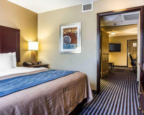 Hotel Comfort Inn & Suites Ballpark Area