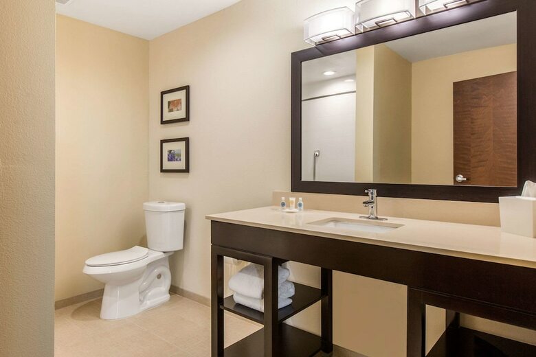 Hotel Comfort Suites - South Austin